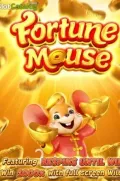 Fortune Mousse en VONO COM